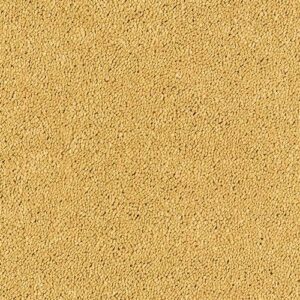 Abingdon Flooring Sophisticat Gold