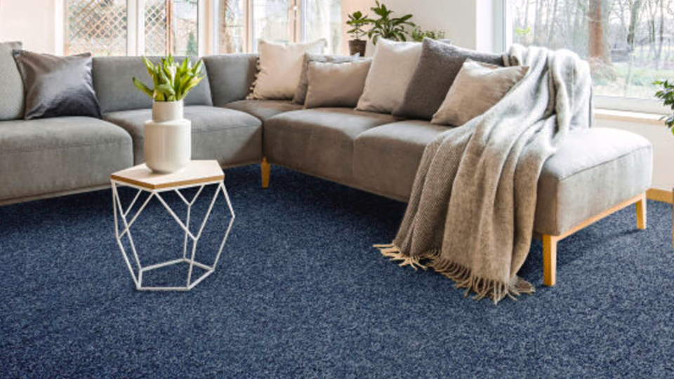 Balta carpets primrose range