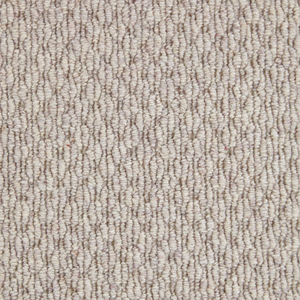 Sandy Springs Braid Buckskin